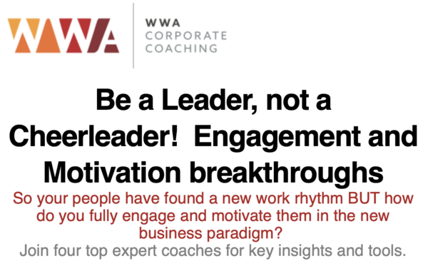 Webinar - Be a Leader, not a Cheerleader (18th May 2020)